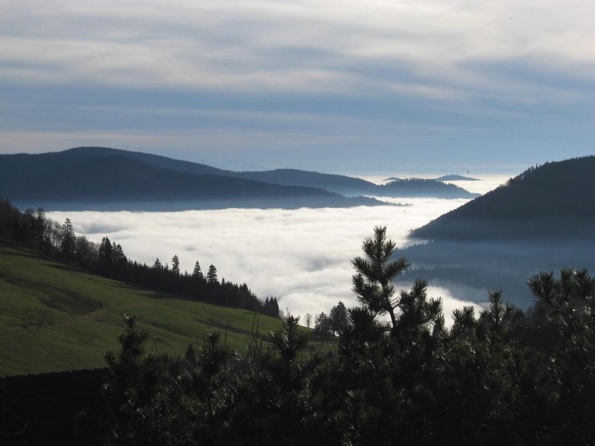 טודנאו Schoene Aussicht מראה חיצוני תמונה