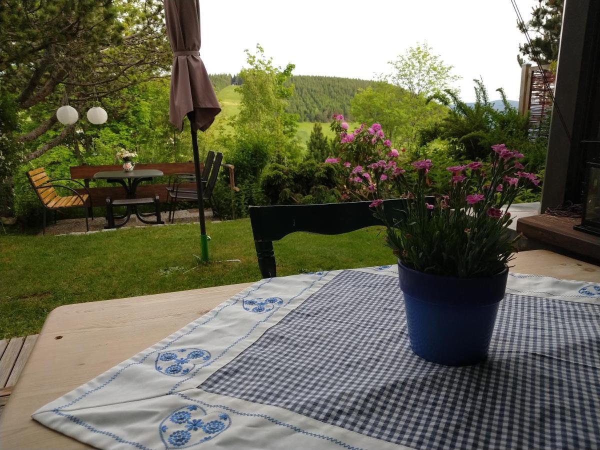 טודנאו Schoene Aussicht מראה חיצוני תמונה